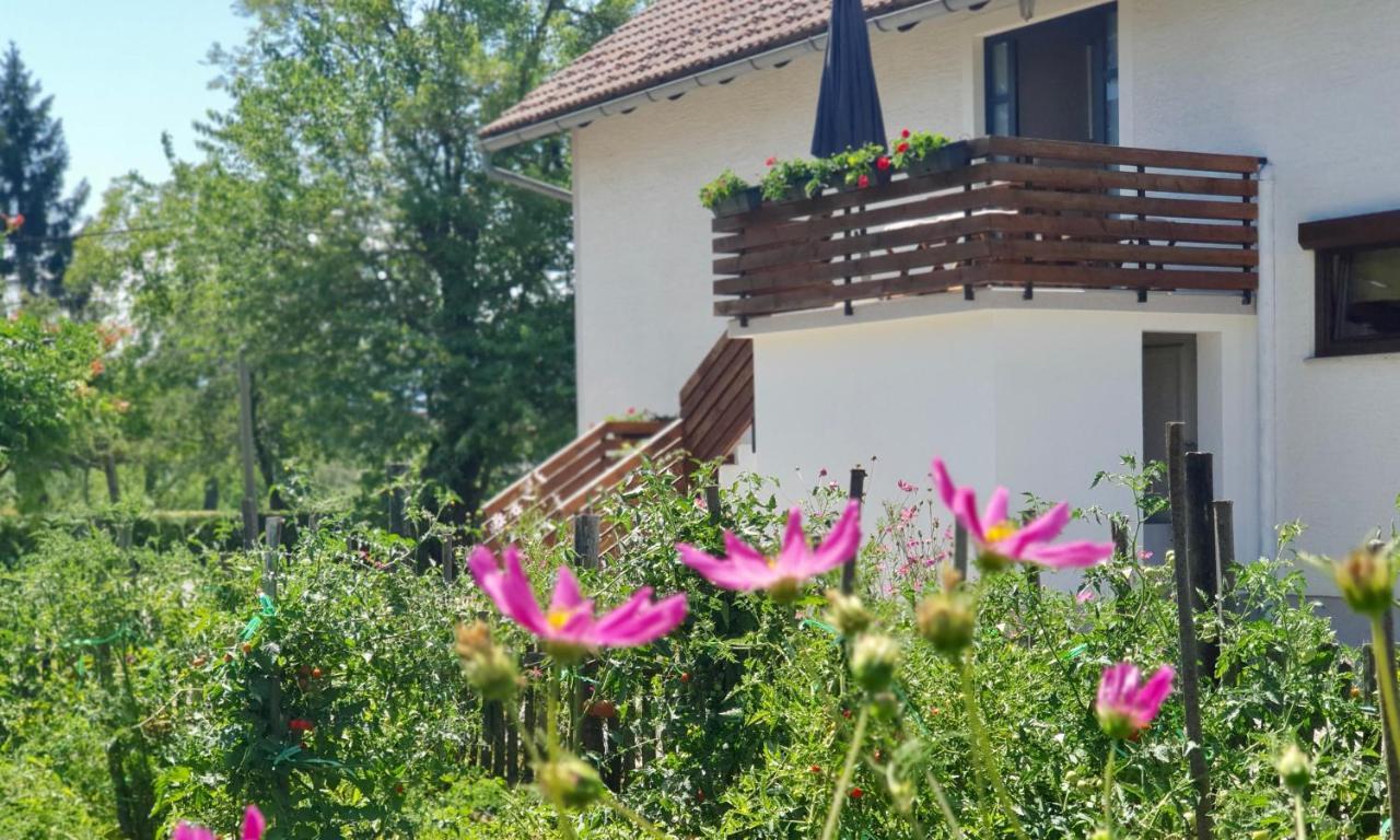 Apartment Murva Drežnik Grad Exteriér fotografie