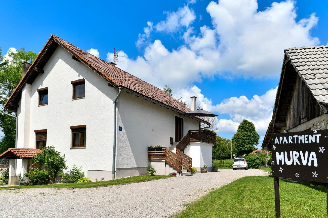 Apartment Murva Drežnik Grad Exteriér fotografie