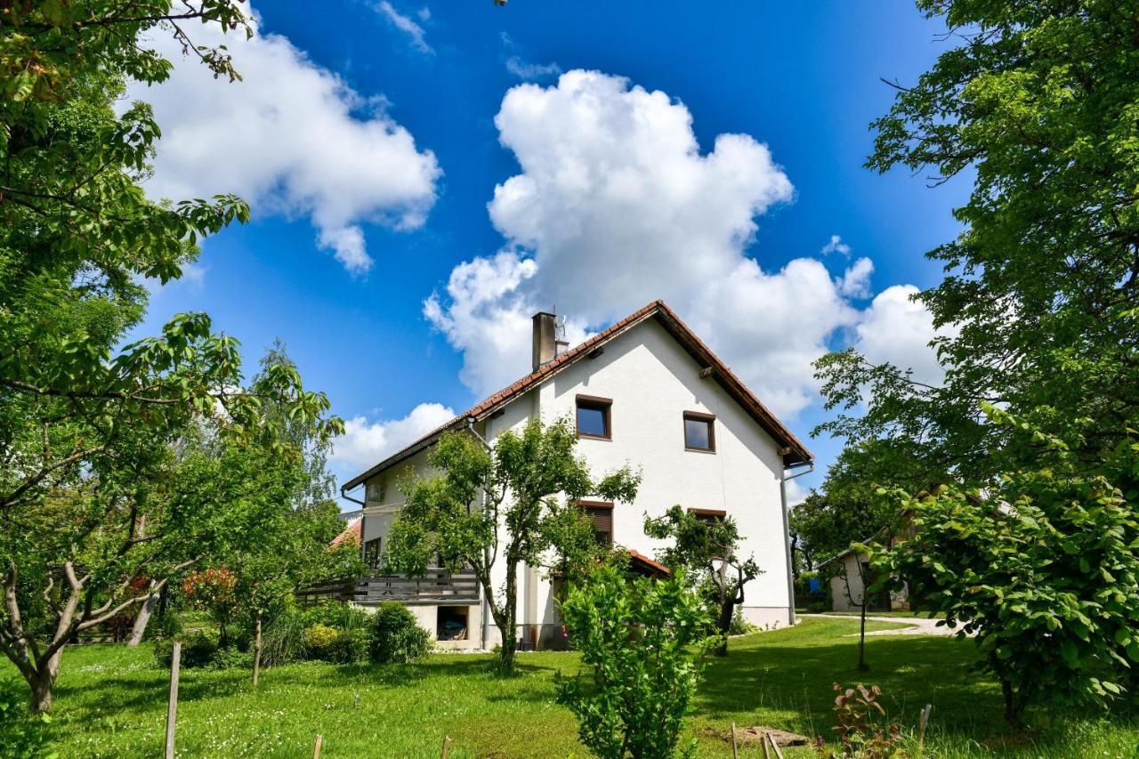 Apartment Murva Drežnik Grad Exteriér fotografie